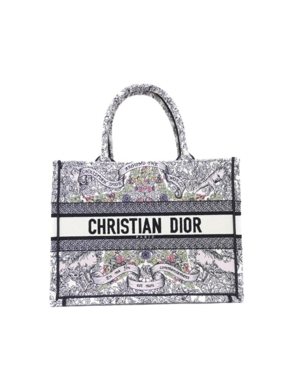 Dior Around the World Book Tote Bag Medium